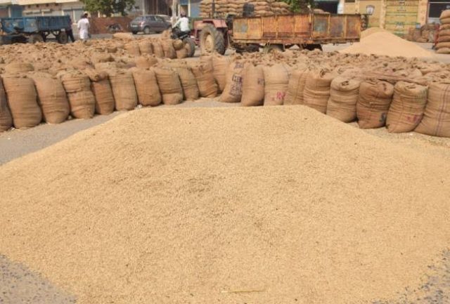 किसानों की सहूलियत के लिए `एन्ड्रॉयड एप` टोकन तुंहर हाथ