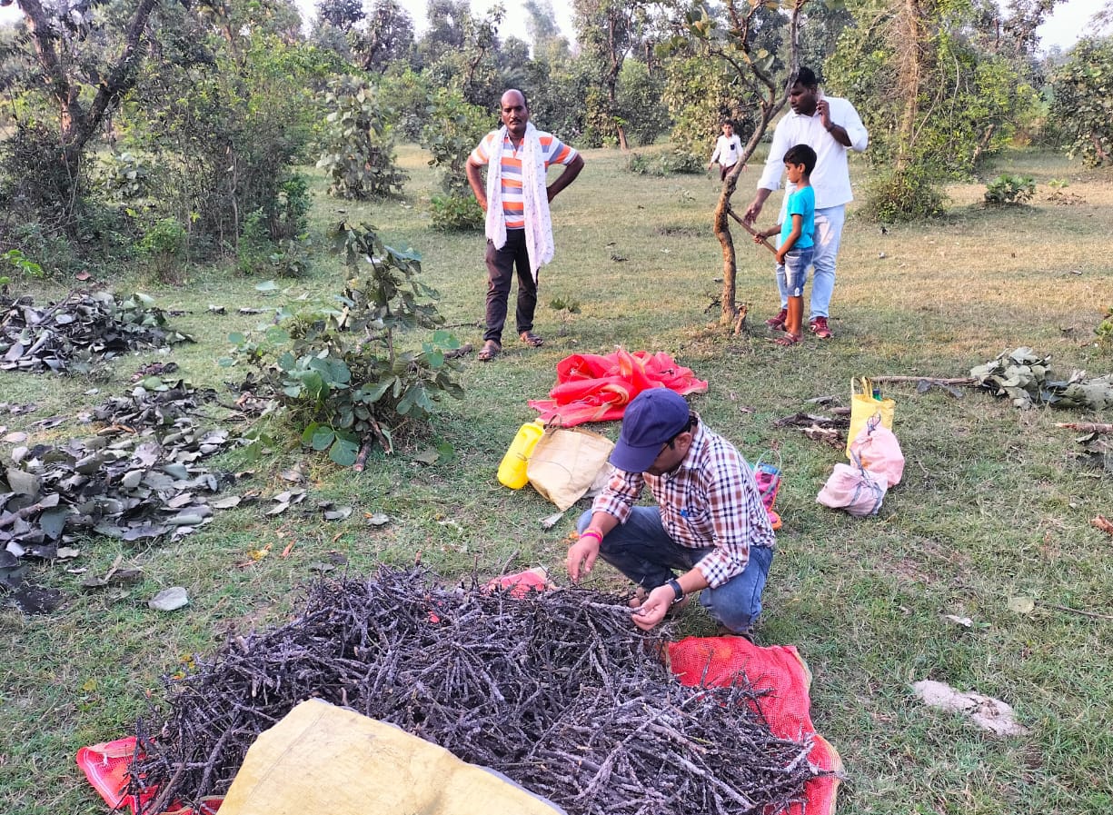 छत्तीसगढ़ में किसानों को लाख की खेती के लिए प्रोत्साहित करने विशेष पहल