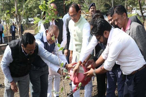 मुख्यमंत्री  चौहान ने खिरनी  करंज और हरसिंगार के पौधे लगाए