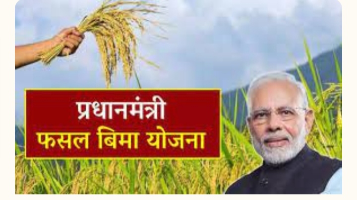 प्रधानमंत्री फसल बीमा योजना अंतर्गत फसल बीमा कराने अंतिम तिथि निर्धारित