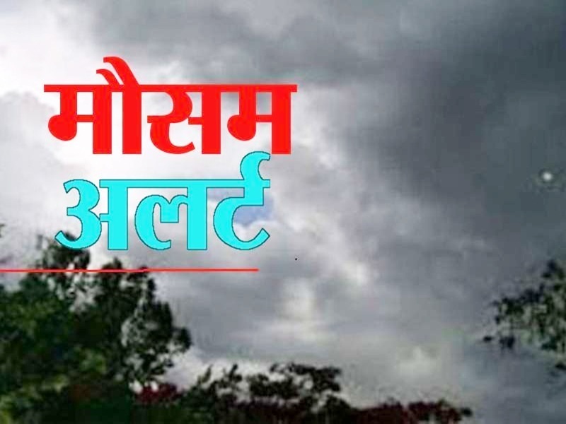 छत्तीसगढ़ में होगी भारी बारिश, रायपुर, बस्तर, बिलासपुर सहित कई जिलों के लिए येलो अलर्ट जारी