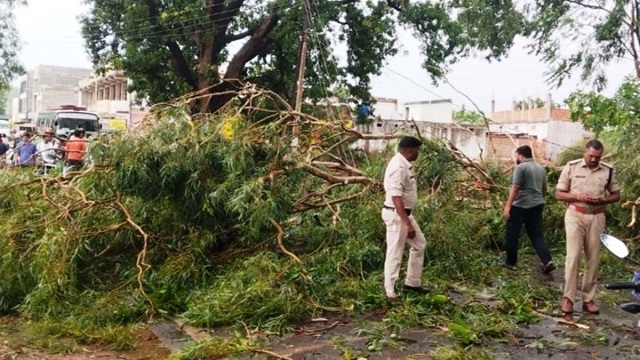 तेज हवा के साथ बारिश नगर में जगह-जगह गिरे पेड़