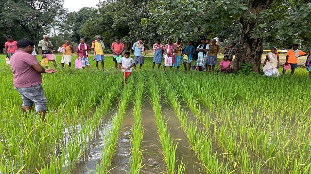 जिला प्रशासन के मार्गदर्शन में कृषि विभाग की अभिनव पहल