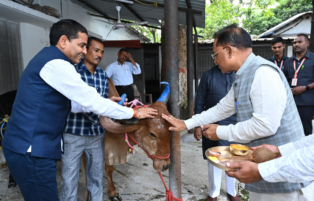 मुख्यमंत्री विष्णु देव साय ने गोवर्धन पूजा के अवसर पर की गौ वंश की पूजा-अर्चना