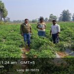 शेडनेट हाउस ने बदली किसान की तकदीर