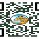 अंतरराष्ट्रीय बाघ दिवस पर होगा ‘रन फॉर इंद्रावती’ मैराथन का आयोजन