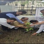 सिविल लाइंस सिंधी पंचायत ने पंचशील नगर में किया वृक्षारोपण