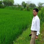 बीज उत्पादन कार्यक्रम के तहत बेमेतरा जिले में 1296 हेक्टेयर क्षेत्र का फसल पंजीयन