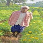 धान से गेंदा की खेती की ओर बढ़े आनंद राम, 0.400 हेक्टेयर में कमाया 3.96 लाख रुपए