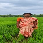प्राकृतिक खेती अपनाकर तुलसा ने बढ़ाई आमदनी